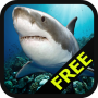 icon Shark Survivor