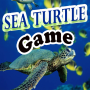 icon Sea Turtle