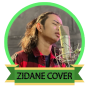 icon Zinidin Zidan Cover Offline