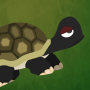 icon Grumpy Turtle dla Lava X41+