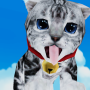icon Cat Simulator