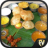 icon Indian Recipes 2.0.3