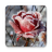 icon Frozen Flowers Live Wallpaper 1.0.9