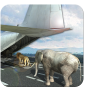 icon Animal Airplane Transporter 3D
