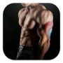 icon Bodybuilding & Fitness Workout dla kyocera Urbano V03