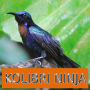 icon Master Kicau Kolibri Ninja dla AllCall Atom