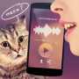 icon Cat Voice Translator