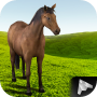 icon Horse School 3D