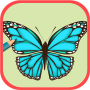 icon Color Butterfly