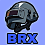 icon com.brx.ro.ip