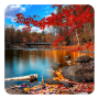 icon Autumn Live Wallpaper