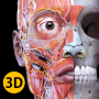 icon Anatomy 3D Atlas dla infinix Hot 4 Pro