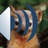 icon Animal Sounds and Ringtones 1.8