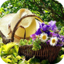 icon DIY Gardening Tips