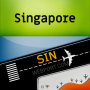 icon Singapore-SIN Airport