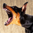 icon Barking Dog Ringtones 1.0.3