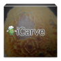 icon iCarve