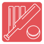 icon dr.rndtechnosoft.cricket
