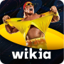 icon FANDOM for: Pro-Wrestling dla Samsung Galaxy Mini 2