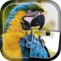 icon Birds Jigsaw Puzzle