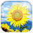 icon Sunflower 1.1.4