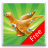 icon Bird Quiz Alarm Clock 2.0.0