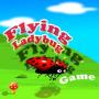 icon Flying Ladybug